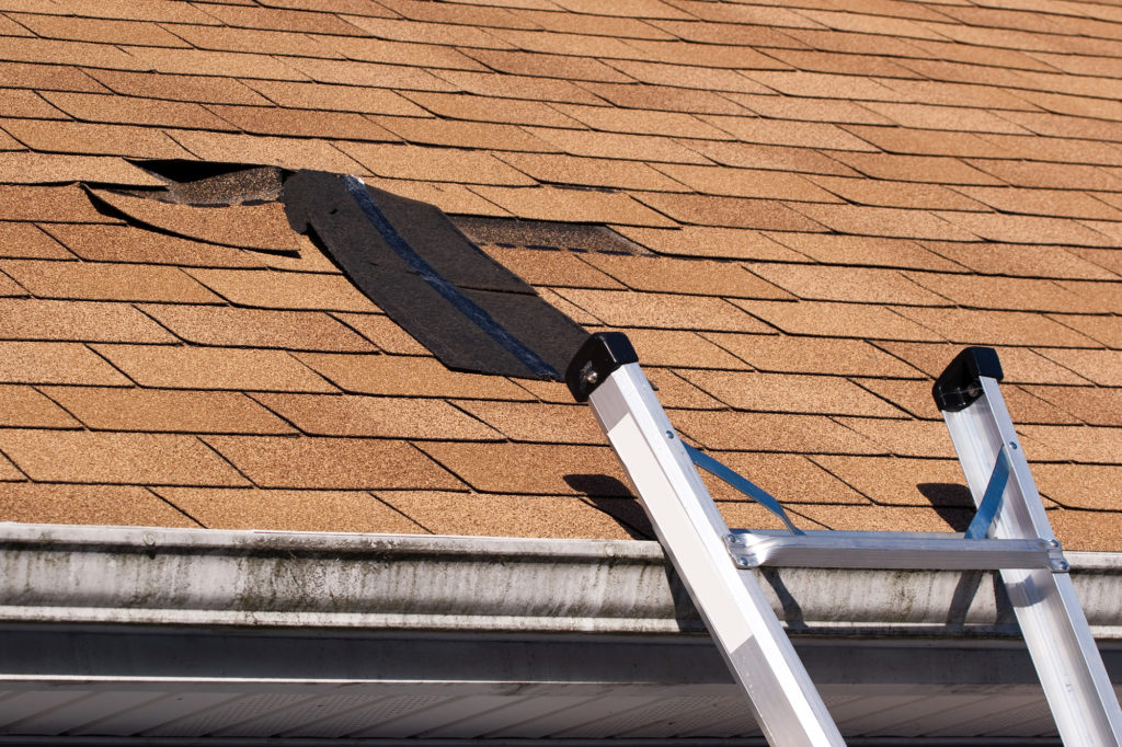 asphalt shingles